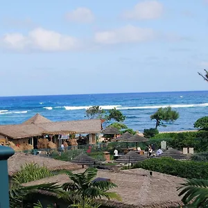  Apartment Waipouli Beach Gorgeous Luxury Ocean View & Pool View Ac! Sleeps 8